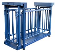 Blue caged design platform scale for livestock weighing